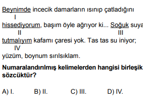 Soru Görseli